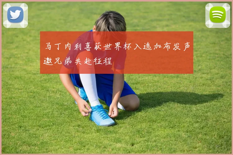 马丁内利喜获世界杯入选加布发声邀兄弟共赴征程