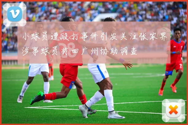 小球员遭殴打事件引发关注张家界涉事球员将回广州协助调查